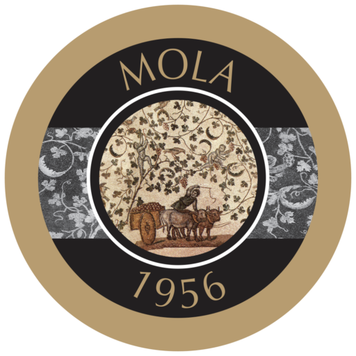 cropped-MOLA-tondo-2026.png